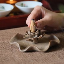Nụ Trầm sen Thổ Sơn DANA, 20 viên Loại 2