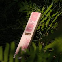 combo hương sắc bốn mùa sen-quế-thảo mộc-trầm Dana incense