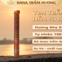 Tim Trầm Hoả Nhật DANA