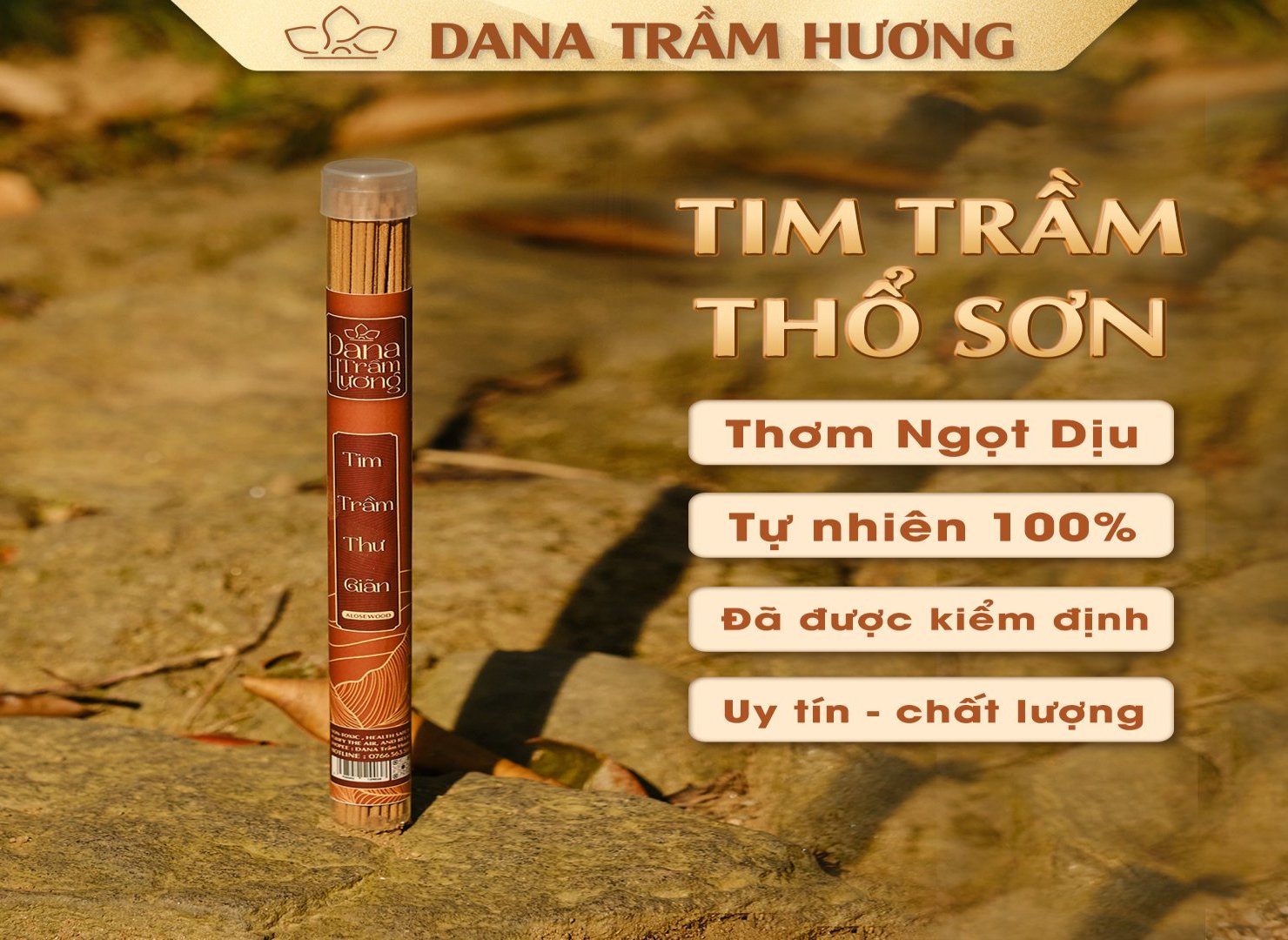 Tim Trầm Thổ Sơn DANA, 20g