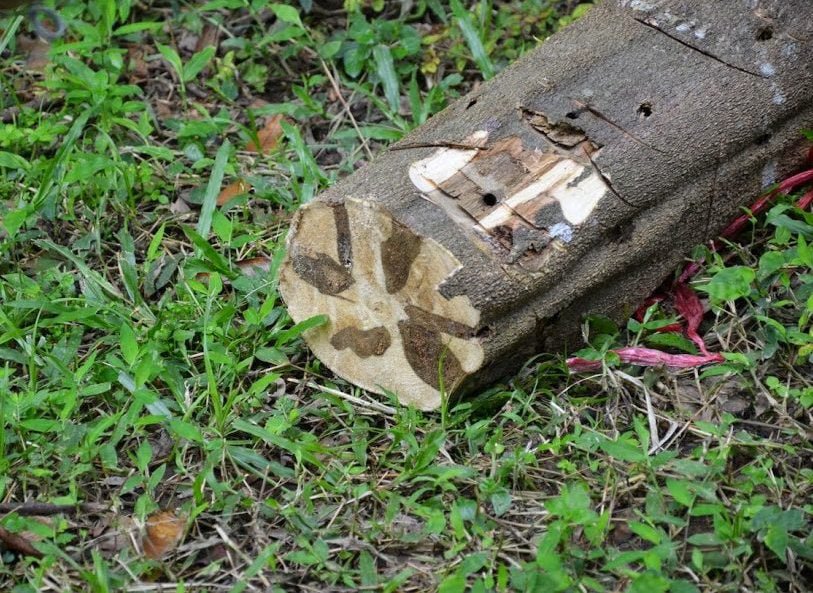 Gỗ trầm hương hợp mệnh gì, có ý nghĩa như thế nào?